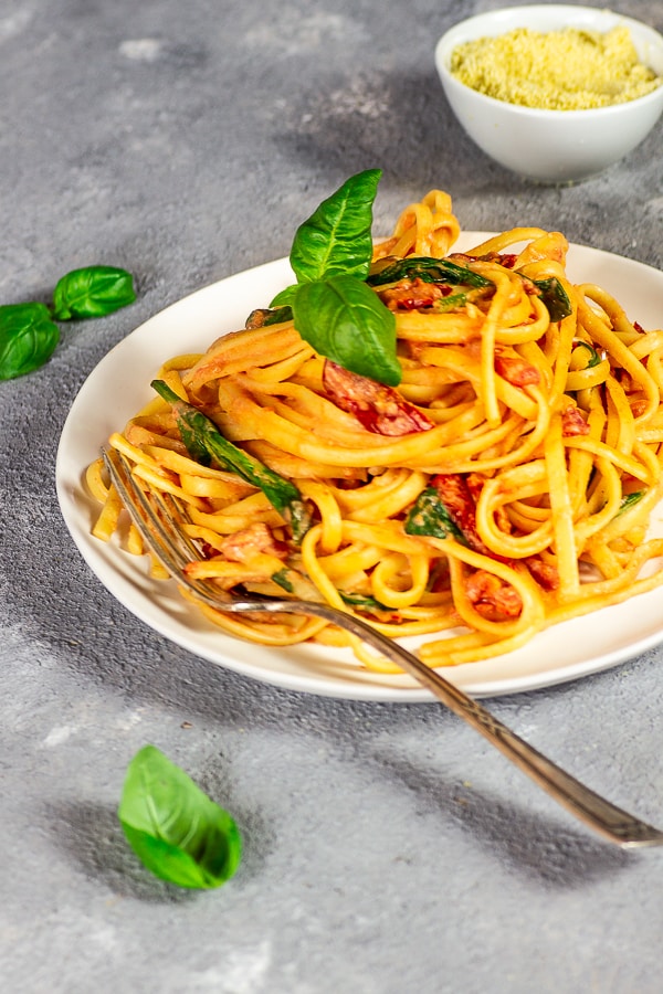 vegan pasta with tomato afredo sauce and sun-dried tomatoes