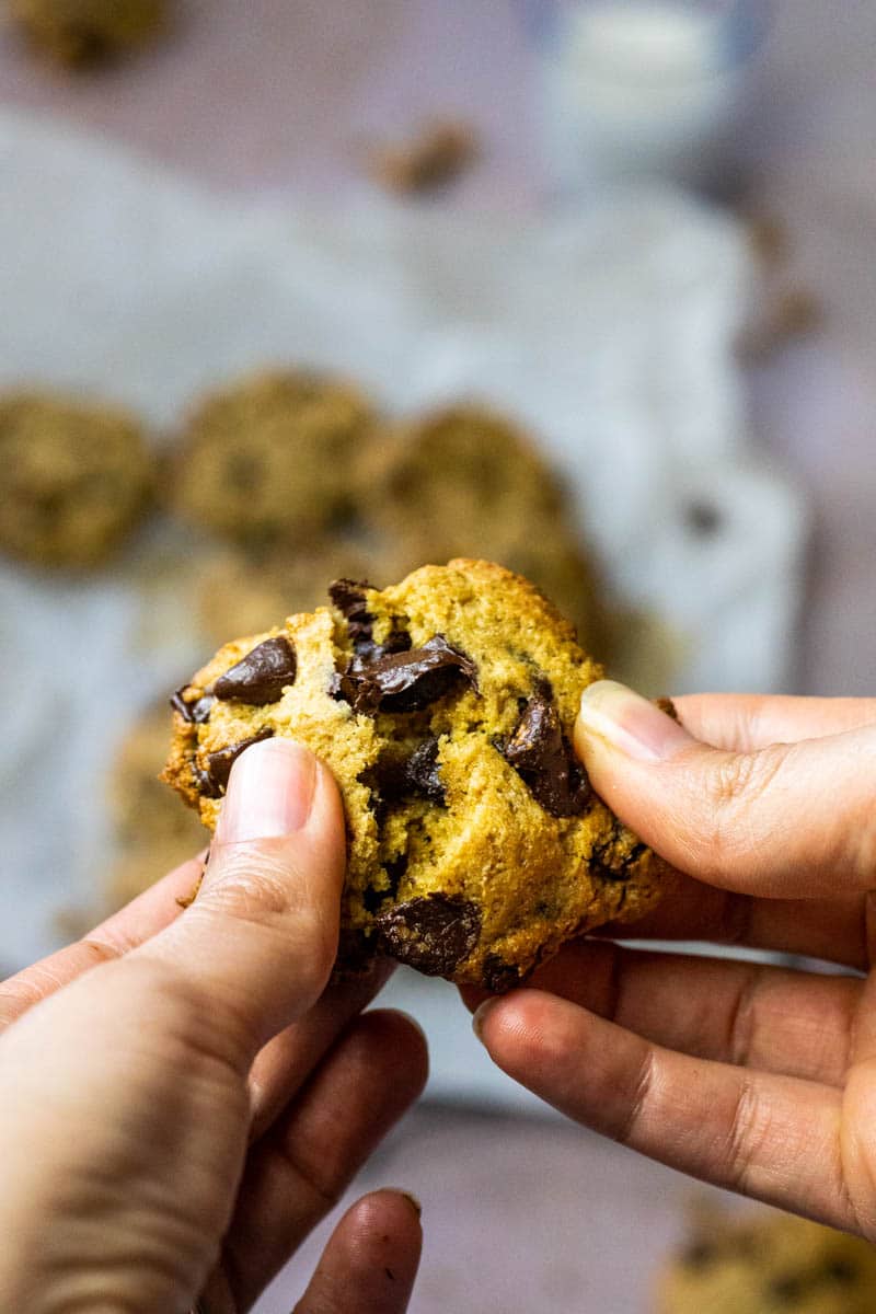 Vegan chocolate chip cookie in hand