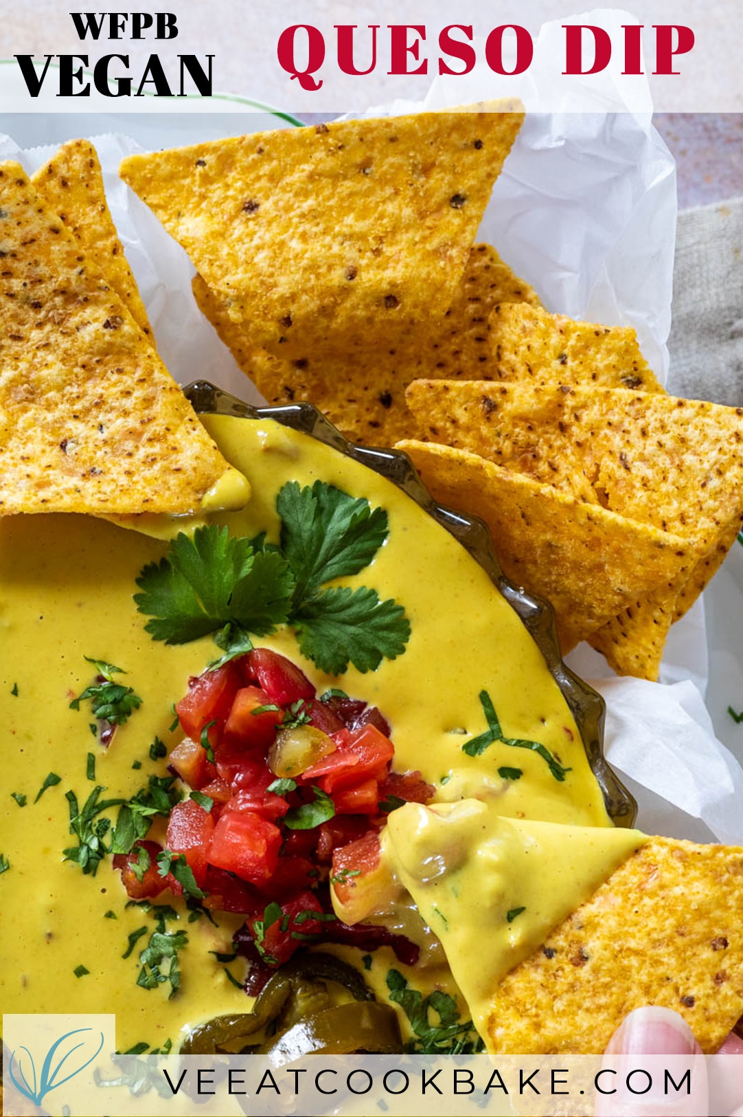 Vegan Queso Dip with tortilla chips with text