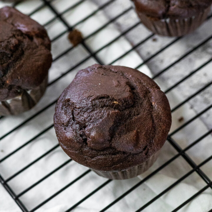 A chocolate muffin in focus with blurred chocolate muffins around.
