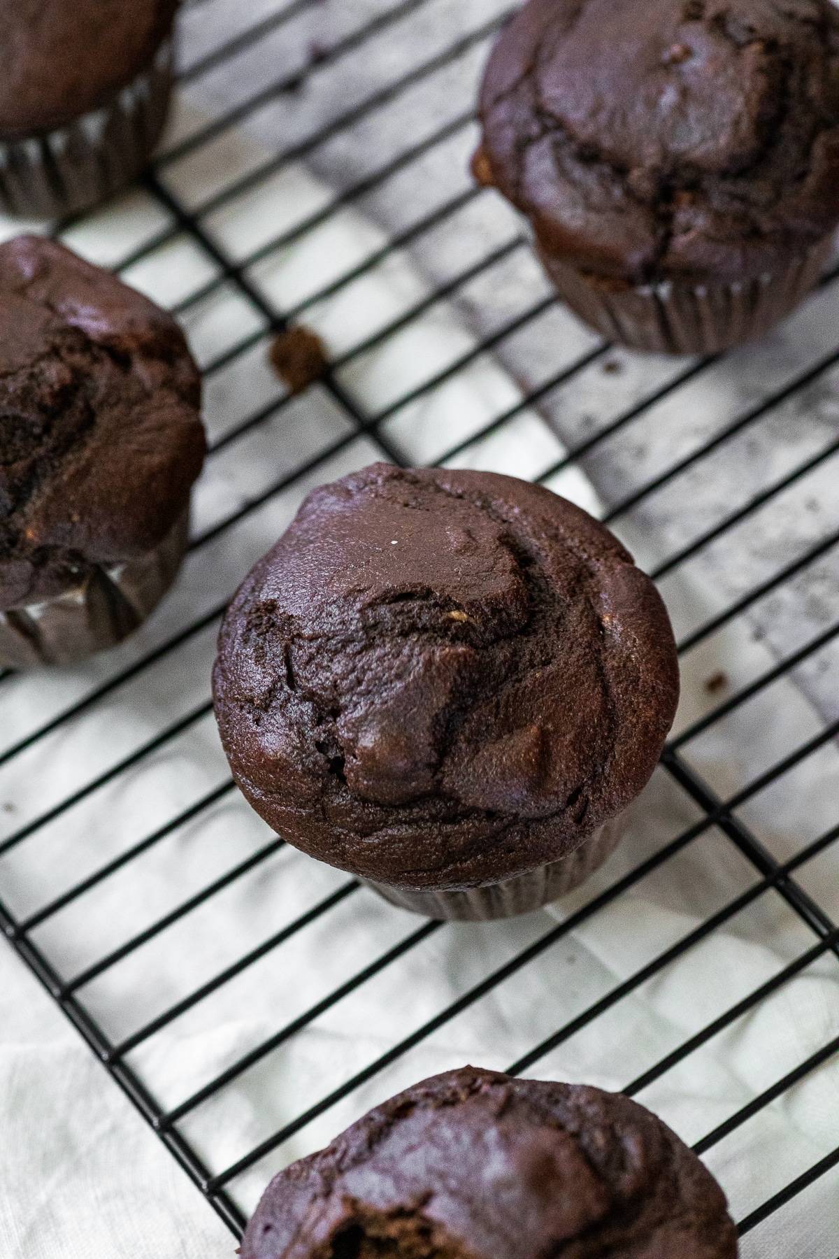 A chocolate muffin in focus with blurred chocolate muffins around.