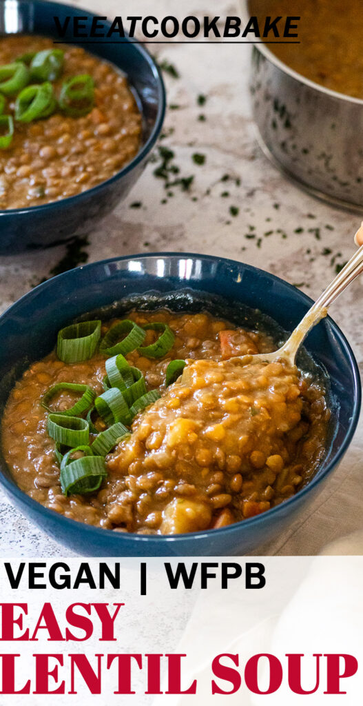 Vegan Vegetable Lentil Soup Recipe | Easy Dinner or Party Soup